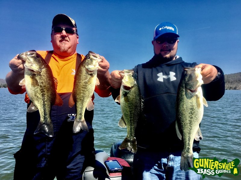 Play big bass splash demo in Germany